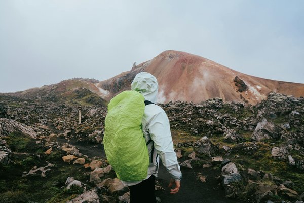 Comment organiser un camping pour observer les bélugas en Arctique?